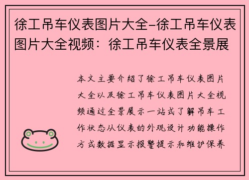 徐工吊车仪表图片大全-徐工吊车仪表图片大全视频：徐工吊车仪表全景展示，一站式了解吊车工作状态